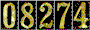 Hit Counter