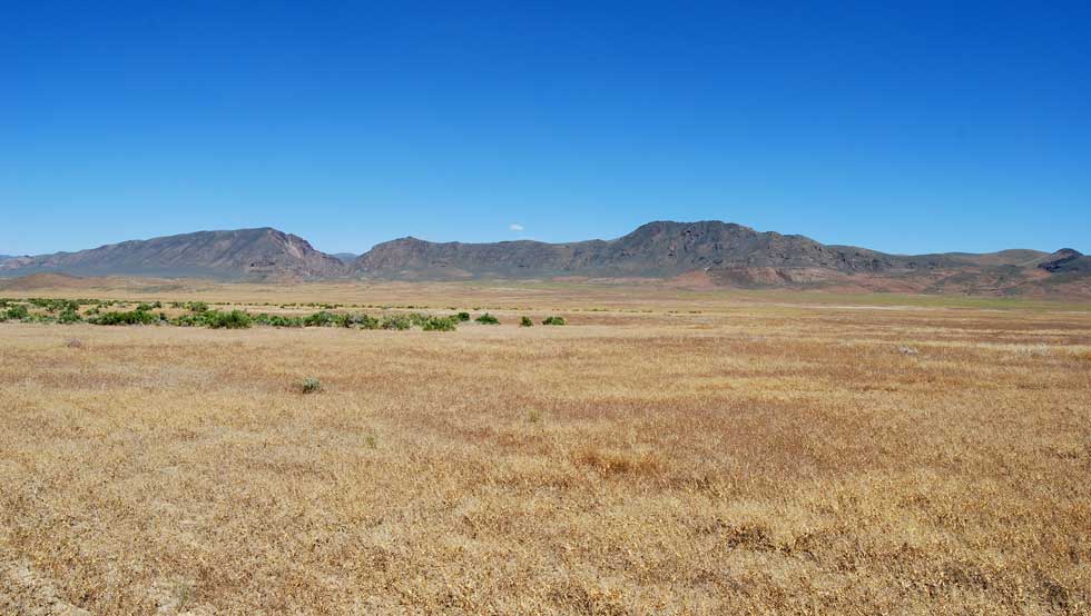 Shoshone Mountains