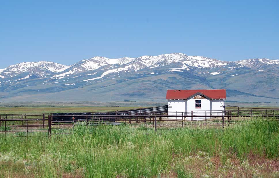 Corral north of Elko