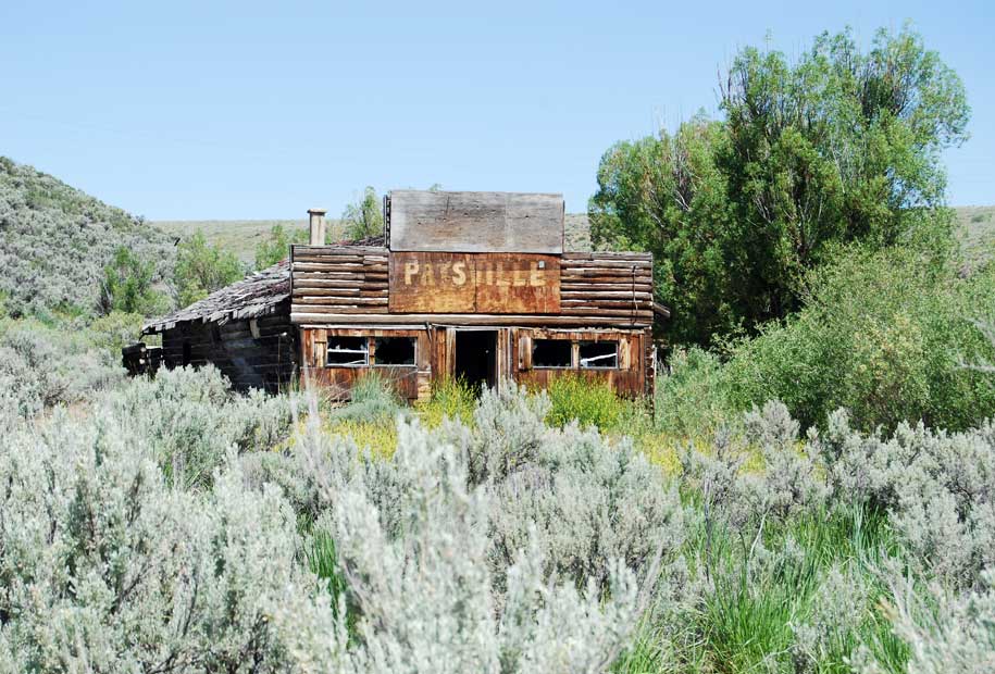 Patsville Saloon