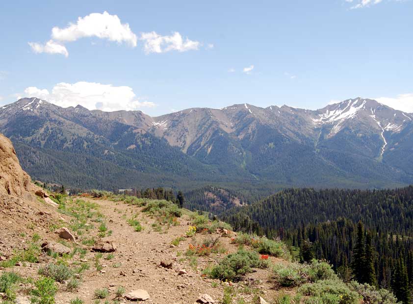 The old toll road