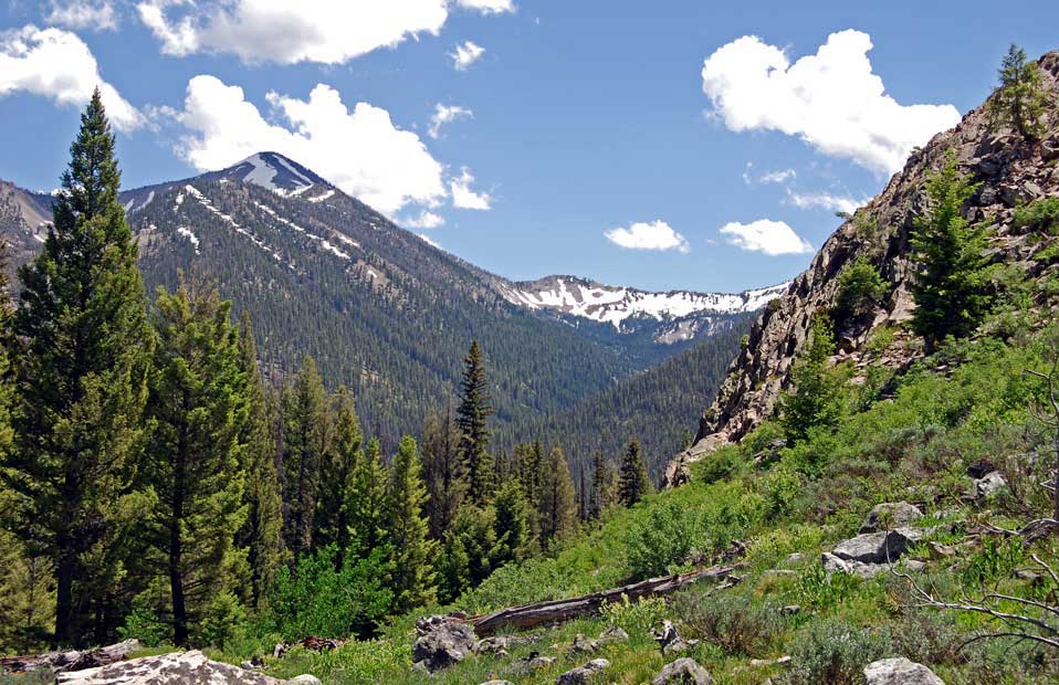 Above Alpine Creek