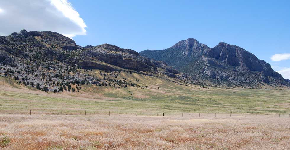 Nevada's Snake Range