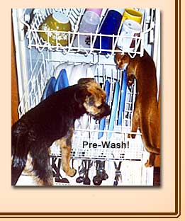 Wicket and Jag washing dishes.