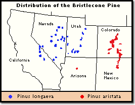 distribution graphic