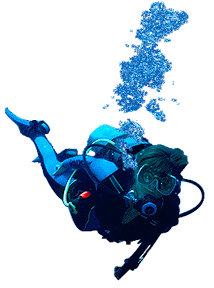 Link to Joanne's Web Site