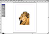 Clipping Path