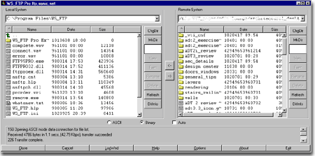 ftp_pro_interface.gif (21077 bytes)