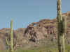 saguaro's&arch.jpg (112924 bytes)