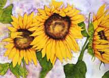 Sunflower Trio