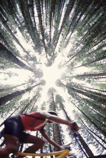 Mountain bike ride