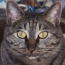 buddy looking handsome