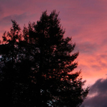 brilliant winter sunset