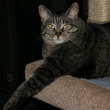 missy arm outstretched