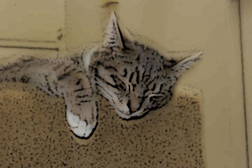  poster effect photo of Cody