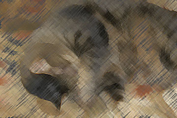 colored pencil effect photo of Missy