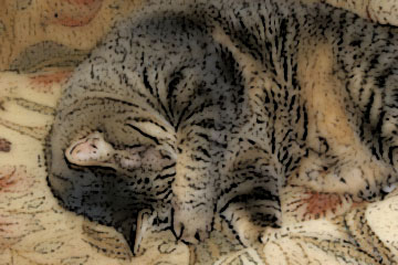posterization effect photo of Missy