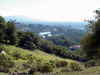 Skyfarm at Fountaingrove