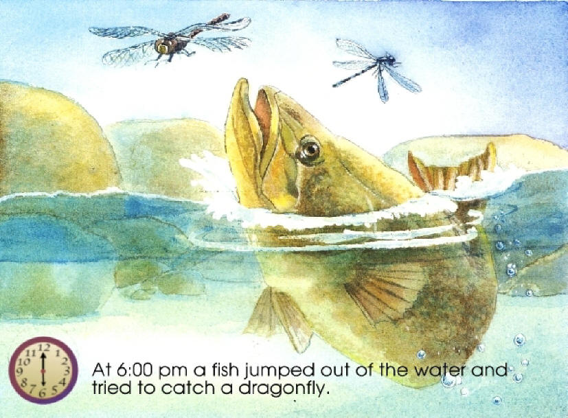 Fish page