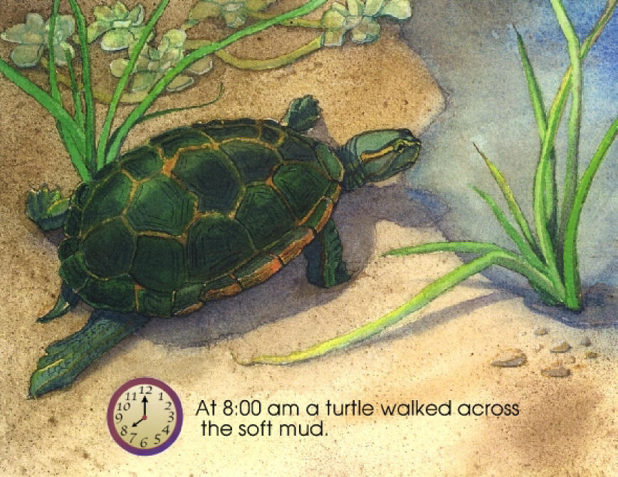 Turtle Page