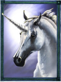 Unicorn