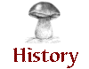 History of Mushroom Dyes