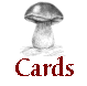 Mushroom Dye Card Page