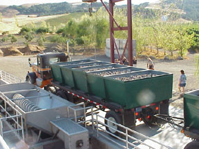 Wine grape truck