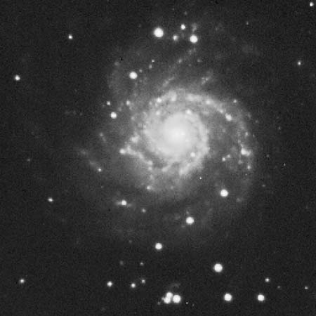 M74 Spiral Galaxy CCD