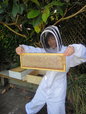 Collecting Honey