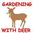 Gardening with Deer