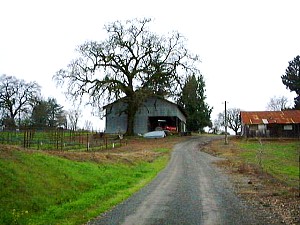 Old Barn from the front.