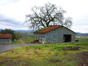 Old Barn from the rear.