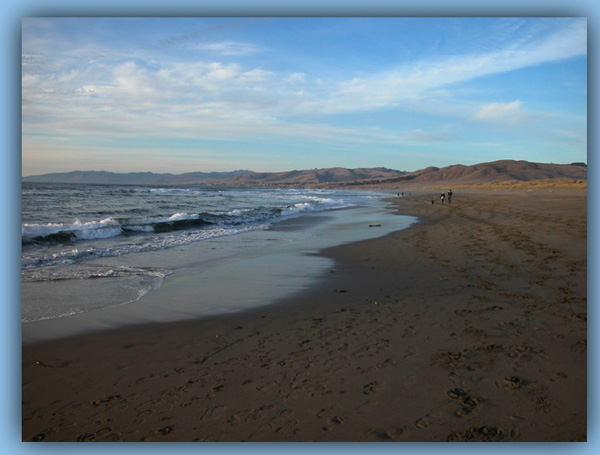 Bodega Dunes