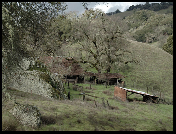 Stable in the Hills