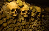 Catacomb Skulls