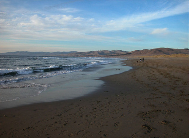 0193Bodega Dunes