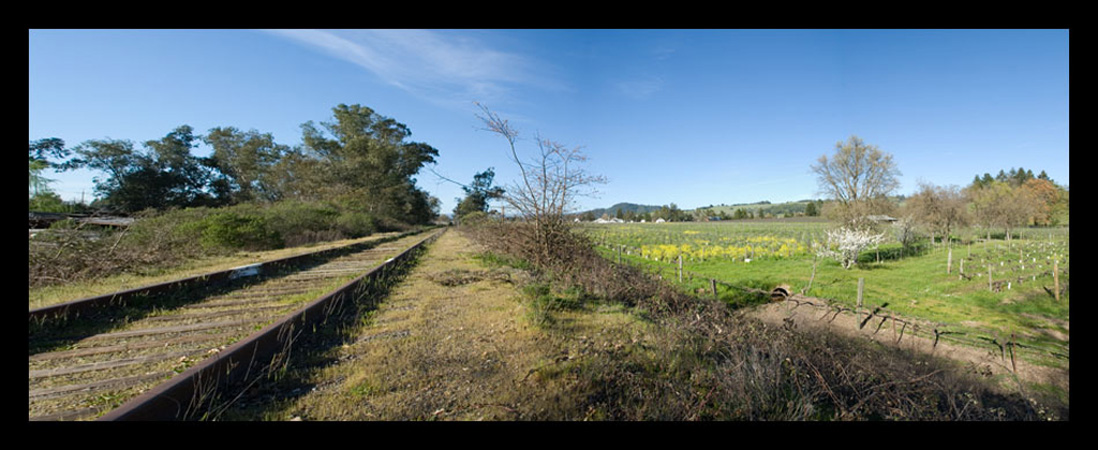 0212Springtime Along the Tracks