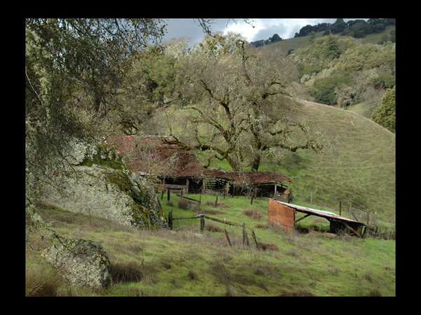 0213Stable in the Hills