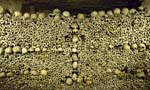 0138DSC_4412 Skulls