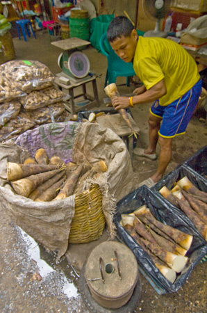 134aDSC_3168DSC_0098 Roots for Sale - Bangkok