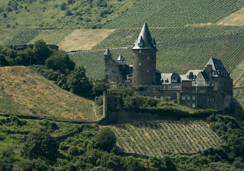 DSC_8696 Burg Stahleck, Germany