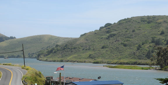 View from the Tree House