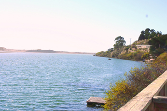 Jenner Inn & Cottages - Harbor Seal Waterfront Room - View from deck