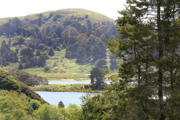 The Russian River at Jenner Inn and Cottages