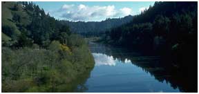 Russian River