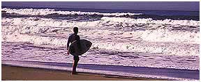 Sonoma Coast Beaches