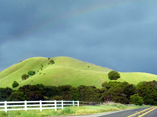 soft, spring-green, rolling hill with line of cascading trees flanked by blue
		sky above and trees below