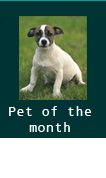 pet of the month