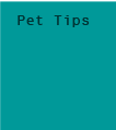 pet tips